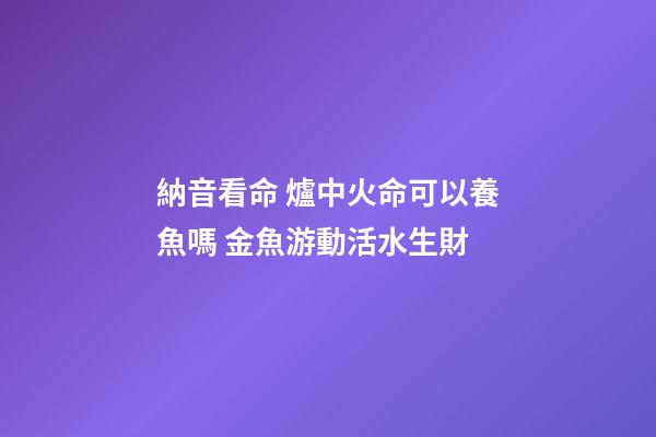 納音看命 爐中火命可以養魚嗎 金魚游動活水生財